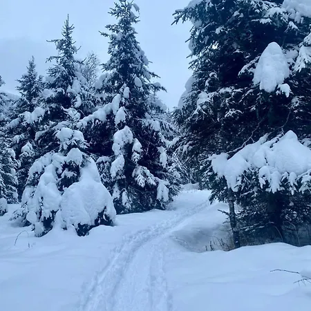 Апартаменты Jana 5