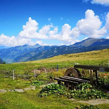 Jana 5 By Smr - Close To Gondola And Раурис