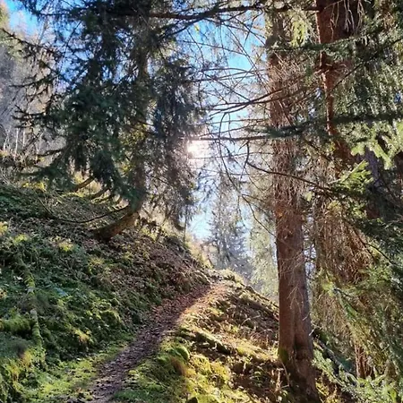 Jana 5 Апартаменты *