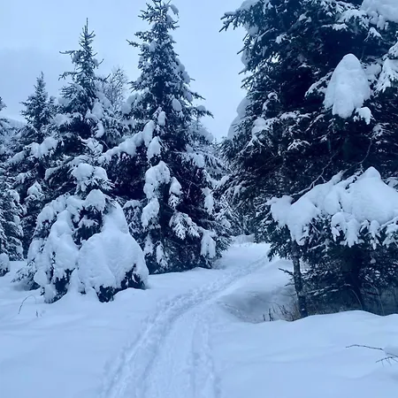 Jana 5 By Smr - Close To Gondola And Appartement