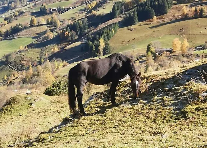 Appartamento Jana 5 *