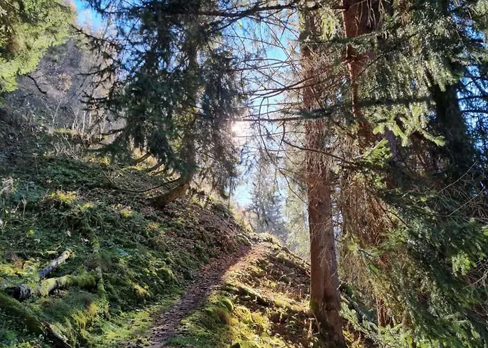 Jana 5 Appartamento *